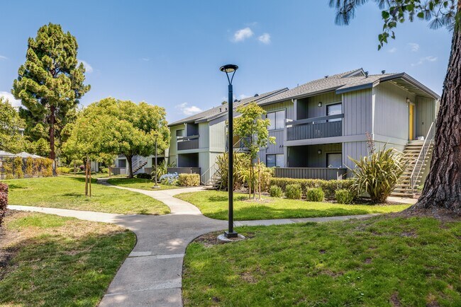 The Dutton Apartments