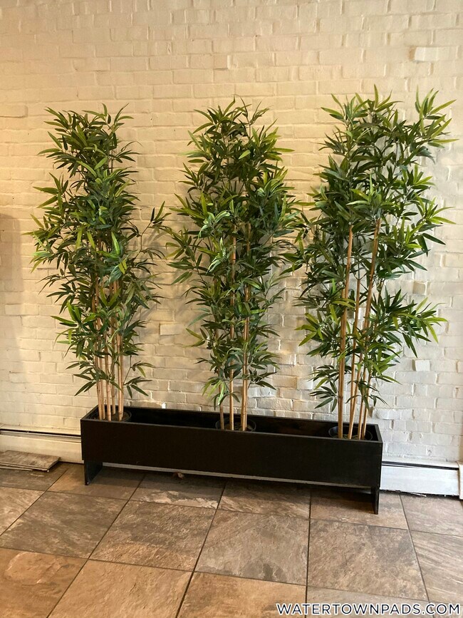 Photo - 16 Whites Ave Unidad 45