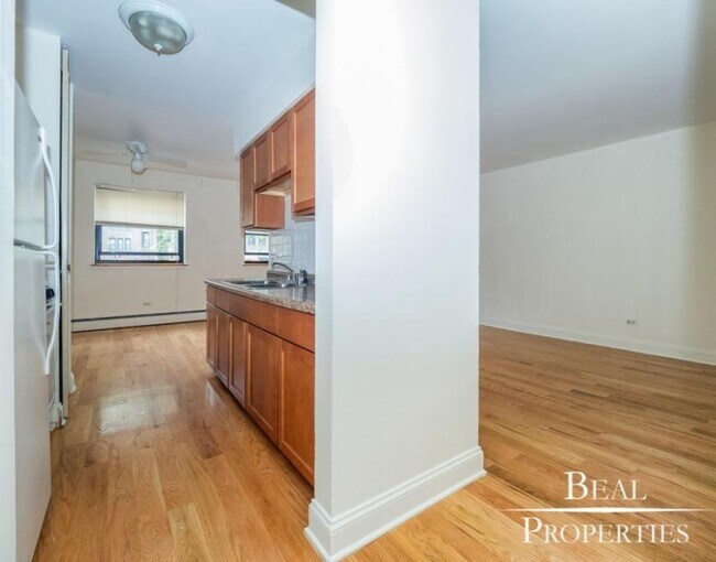 1 bedroom in CHICAGO IL 60657 - 1 bedroom in CHICAGO IL 60657 Unidad 201 Rental