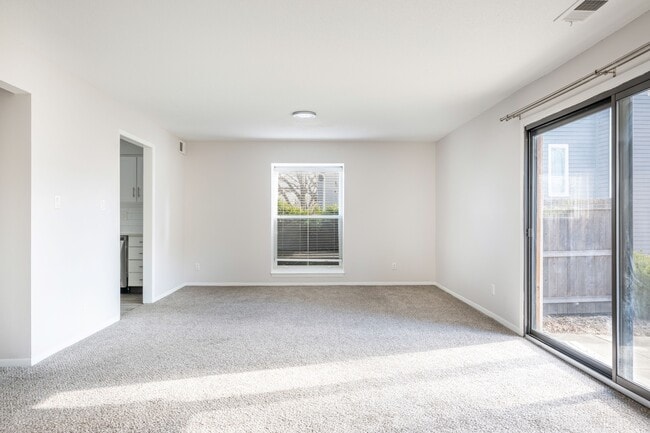 Photo - Corinth Paddock