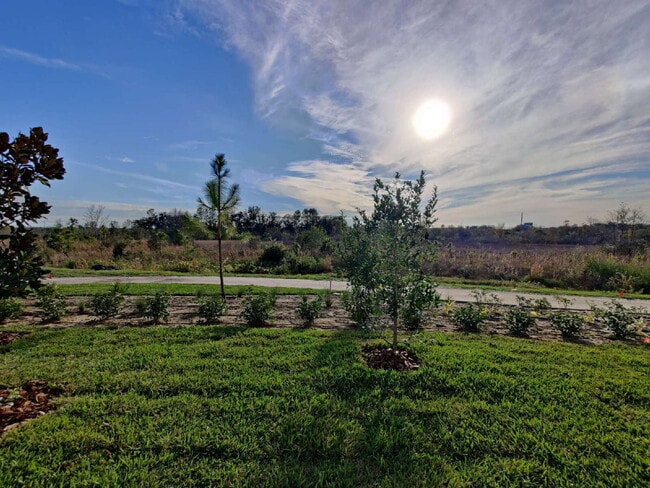 Photo - 5389 Elmview Xing