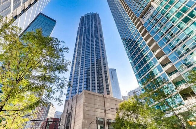 Building Photo - 512 N McClurg Ct Unit 4511