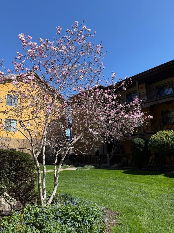 Building Photo - 4026 Pritchard Dr N Unit 6101