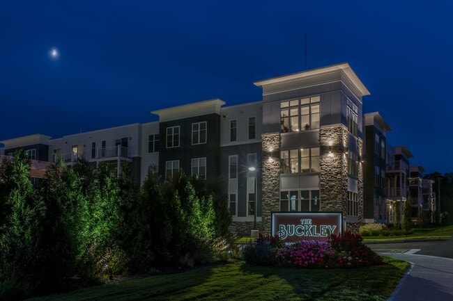 Buckley At Night