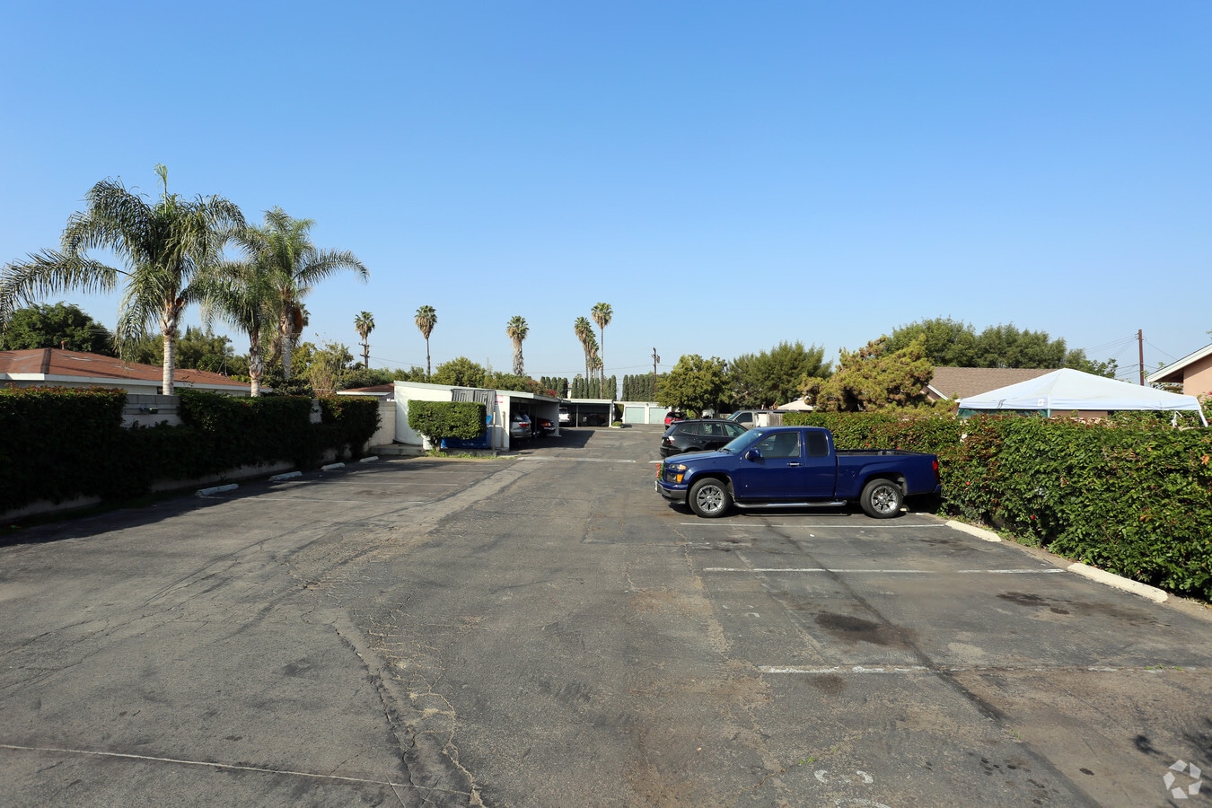The Groves Apartments - The Groves Apartments