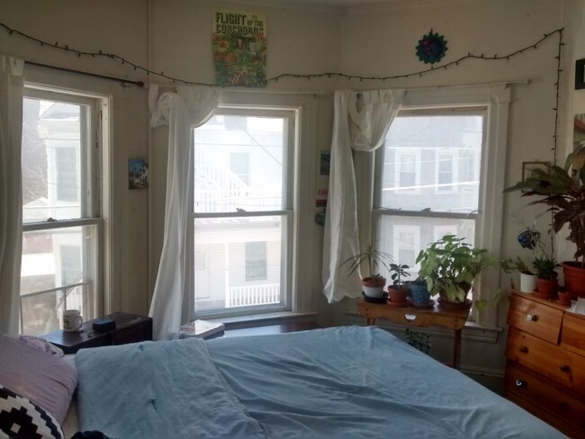 Photo - 13-15 Greene St Apartments