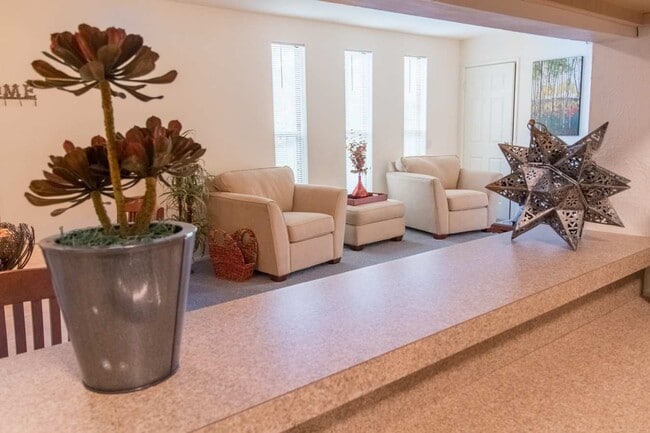 Photo - Forest Creek