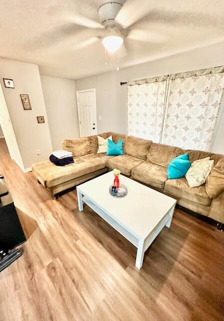 Photo - 423 John King Rd
