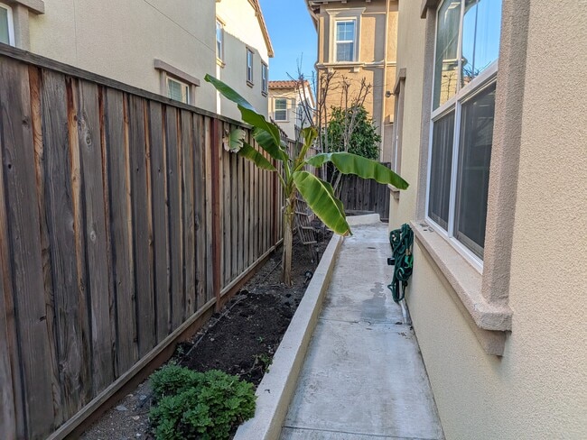 side yard - 427 Silvercrown Way