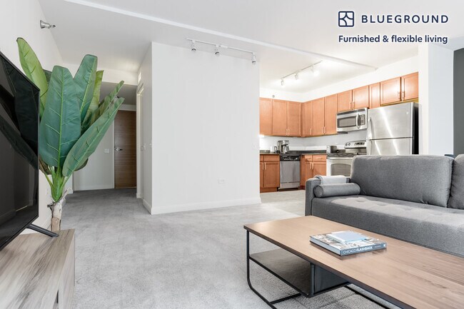 210 N Wells St Unit SI FL17-ID268