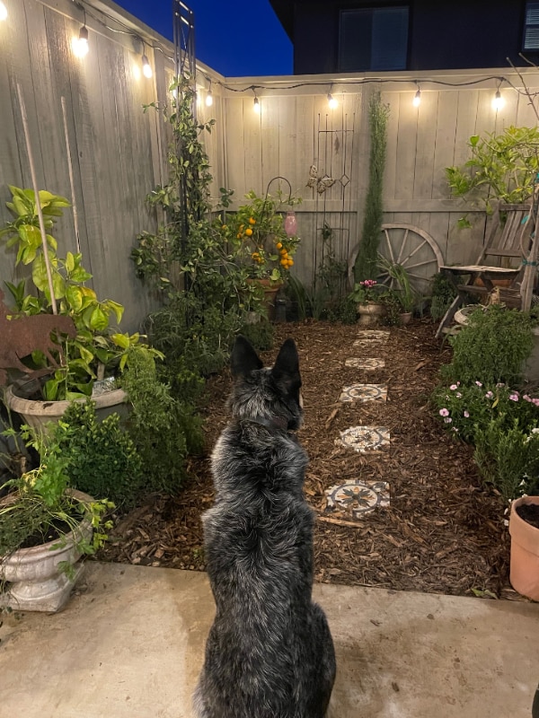 Photo - 2216 1/2 Motta St