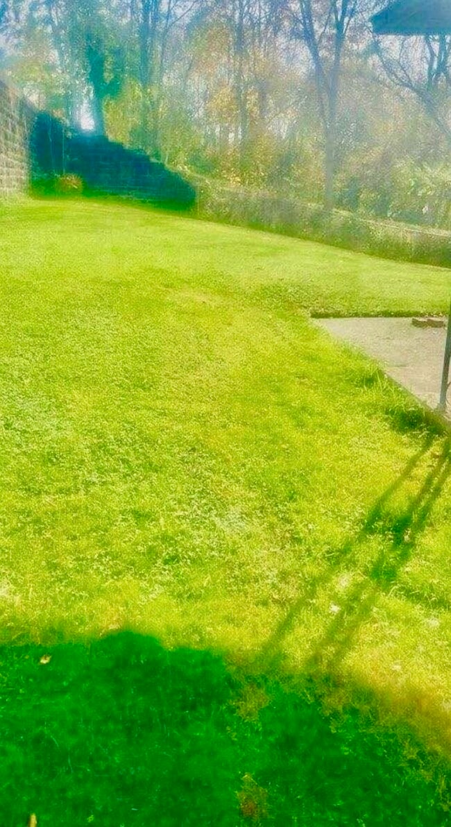 Photo - 529 E Wood St