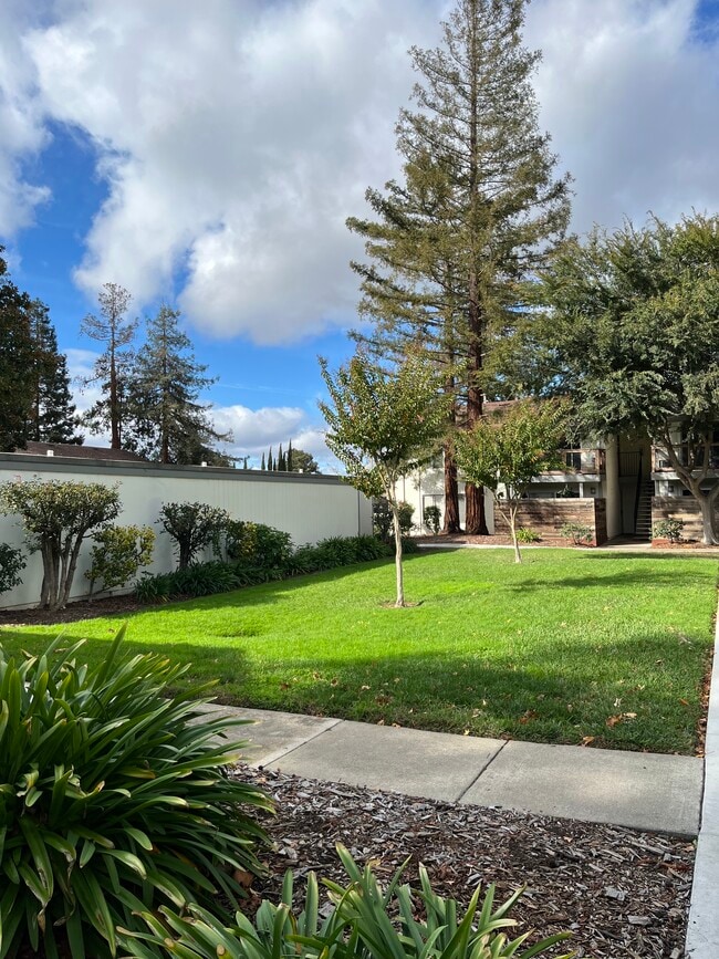 Photo - 4081 Clayton Rd