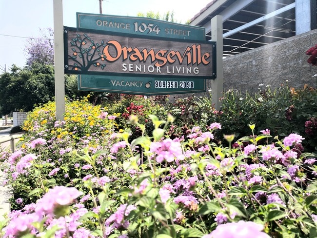 Orangeville Senior Living Apartments 55+ - Orangeville Senior Living Apartments 55+ Unit 110