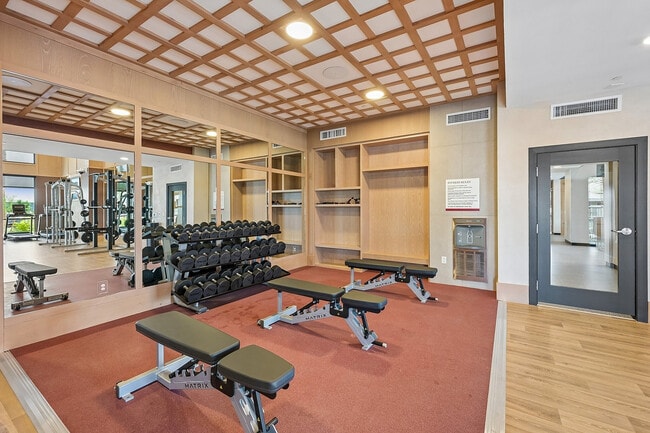 Gym-Free Weights