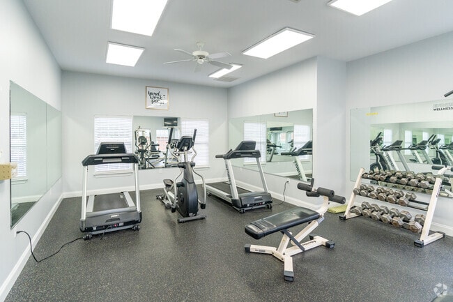 Gimnasio