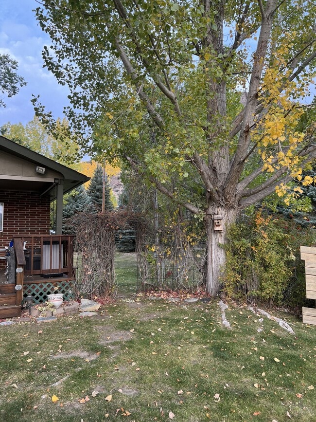 Photo - 5675 York Rd