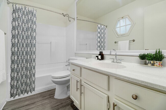 Photo - Willis Park East