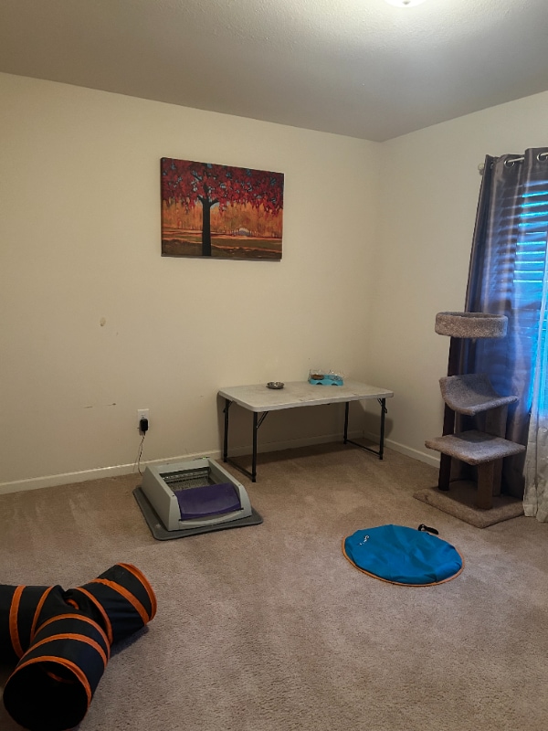 Photo - 16 Tilden Howington Dr