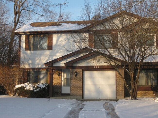 Building Photo - 429 Pacific Ct