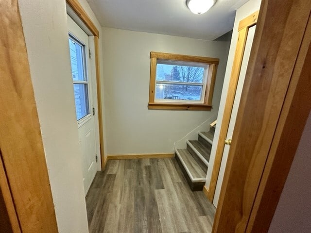 Photo - 981 Callbeck St