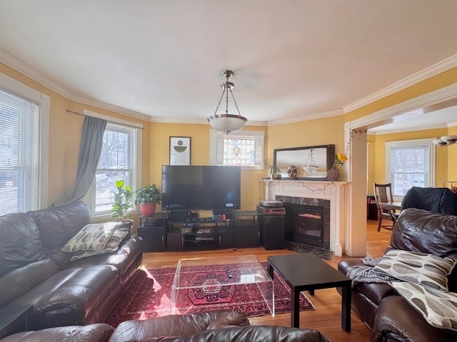Photo - 22 Burton St