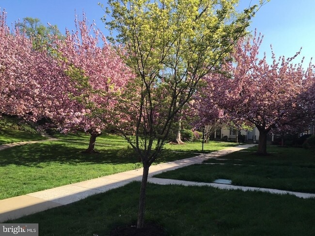 Photo - 4920 Bradley Blvd