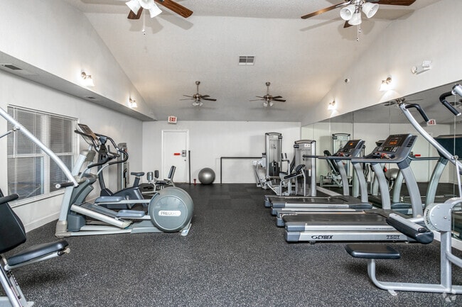 Gimnasio - Sable Chase