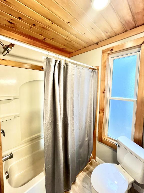 Photo - 153 Horton St