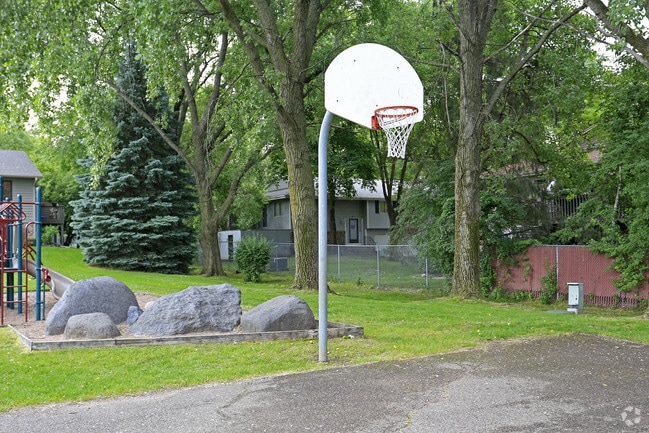 Basketball Court