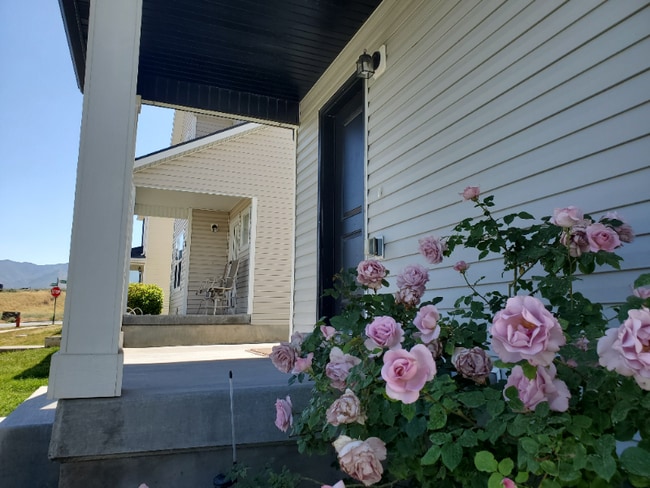 Photo - 196 Aparicio Dr