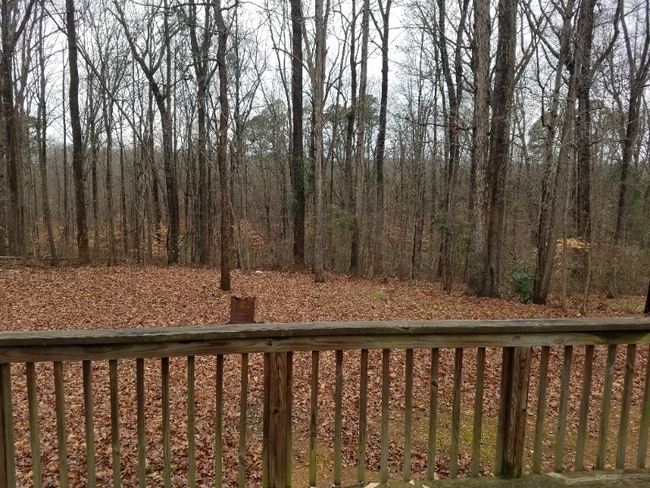 Building Photo - 6108 Briarwood Dr