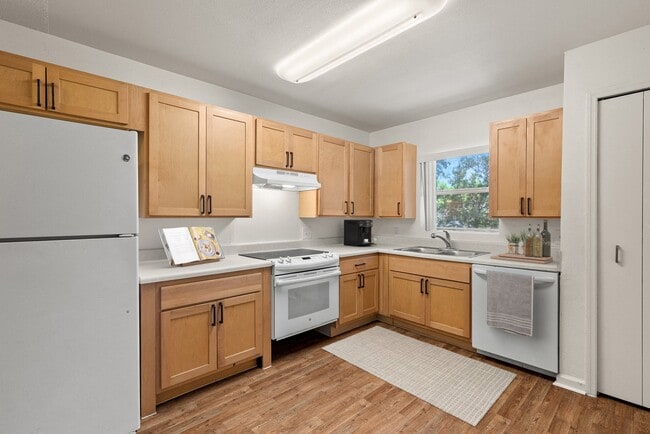 Regency Palms Apartments
