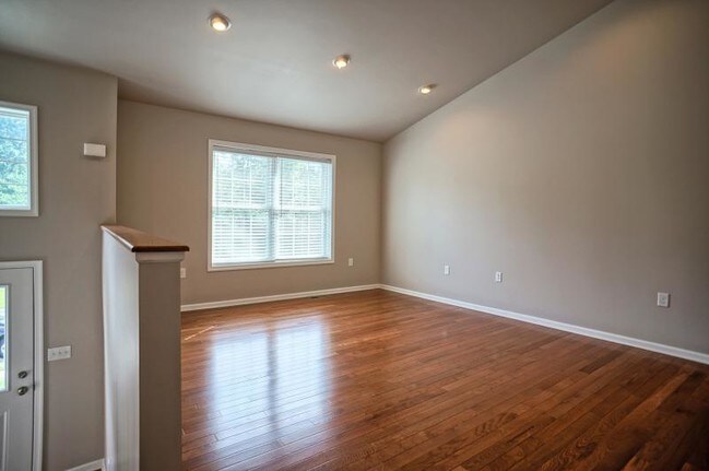 Photo - 15 Scarlet Oak