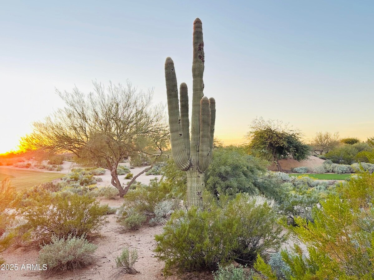 Photo - 19838 N 84th St