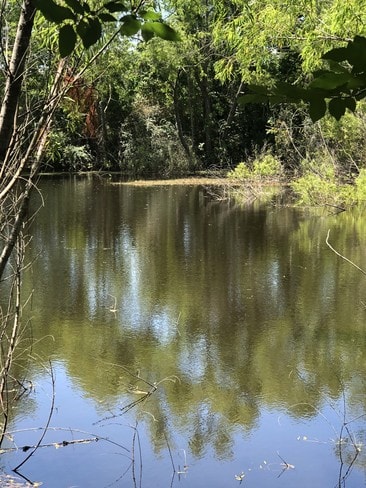 Private Fishing Pond for residents