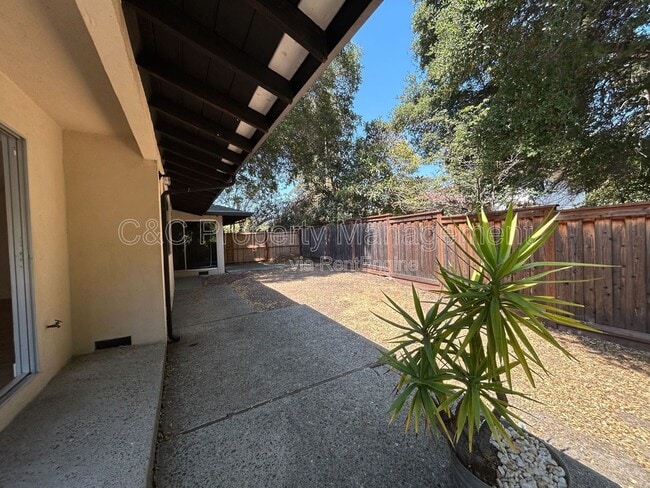 Photo - 5535 Olinda Rd