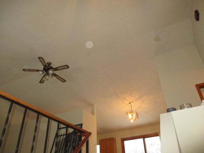 ceiling fan - 3725 36th Ave S