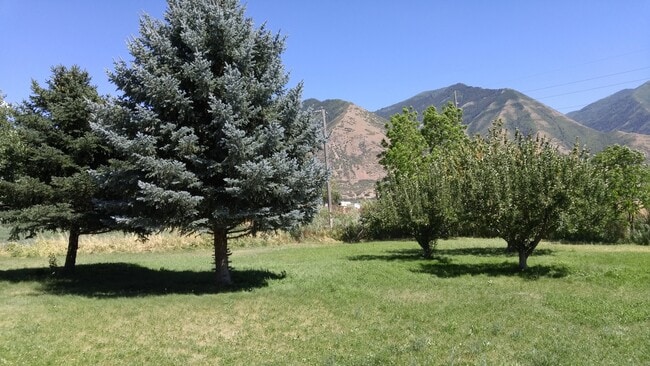 Photo - 3 bedroom 1 bath home in south Spanish Fork