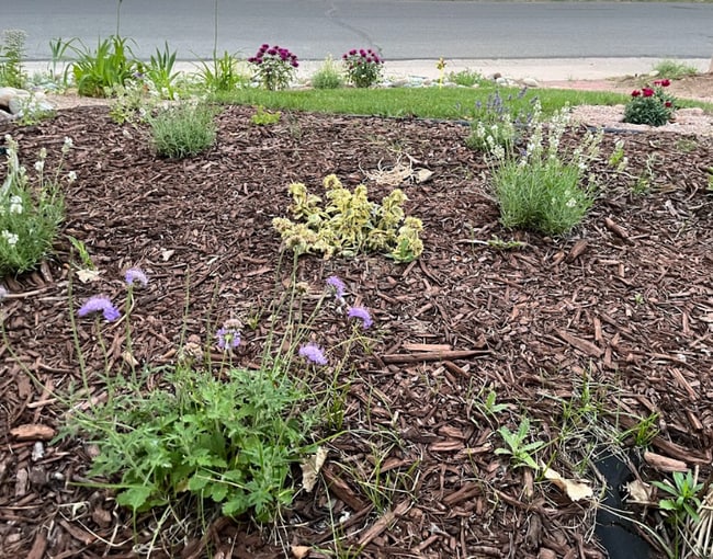 Photo - 1587 S Garrison St