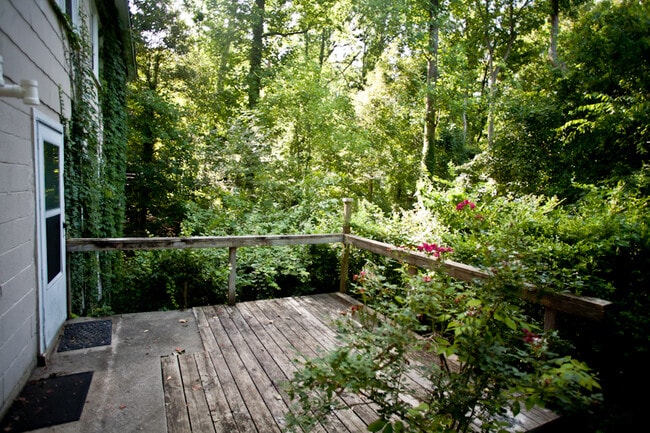 507 Pine Bluff Trail