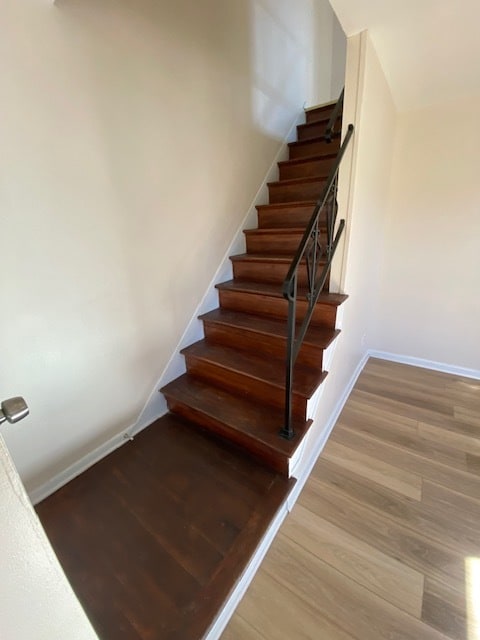 Photo - 7423 St Patricia Ct