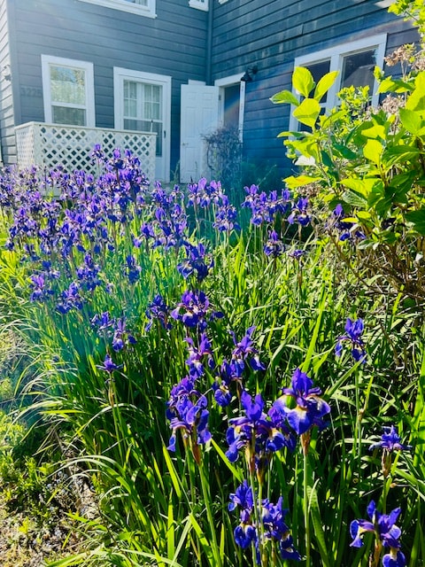 Photo - 3225 SW 12th Ave Unidad 2