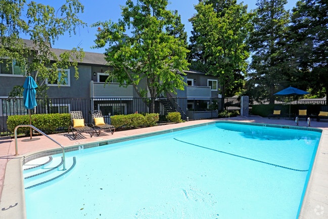 Plum Tree Apartments