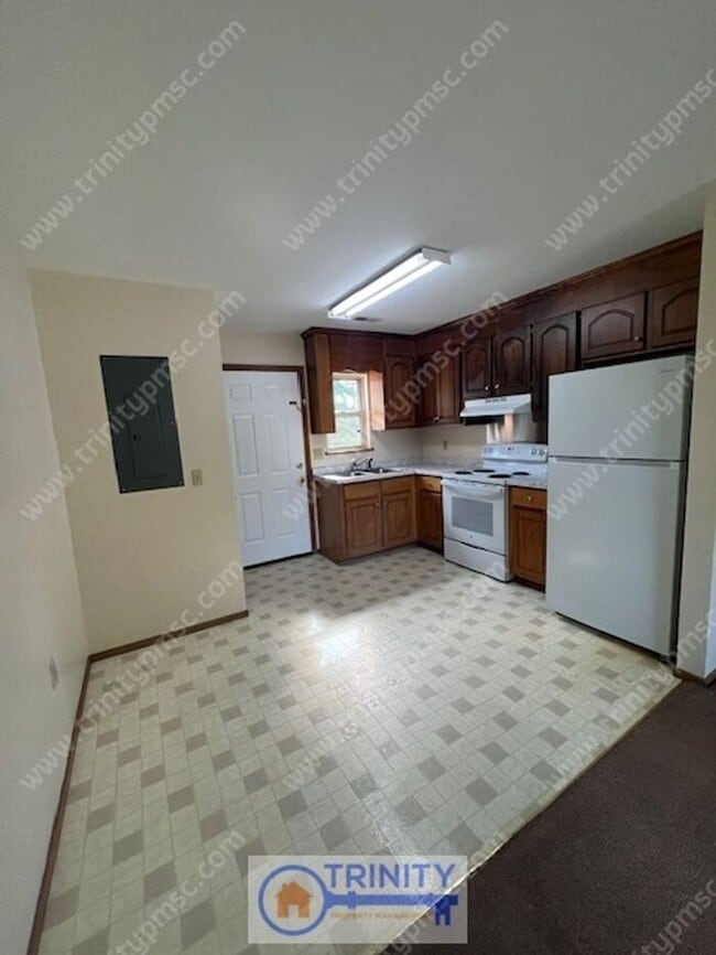 Photo - Cute and Available NOW!