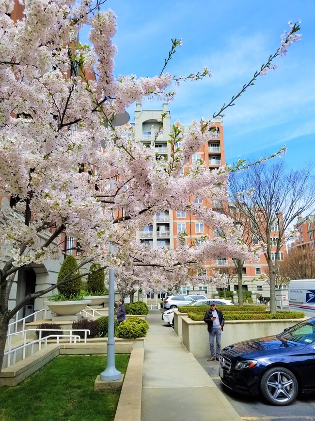 Photo - 70 Oceana Dr W Unit 5c