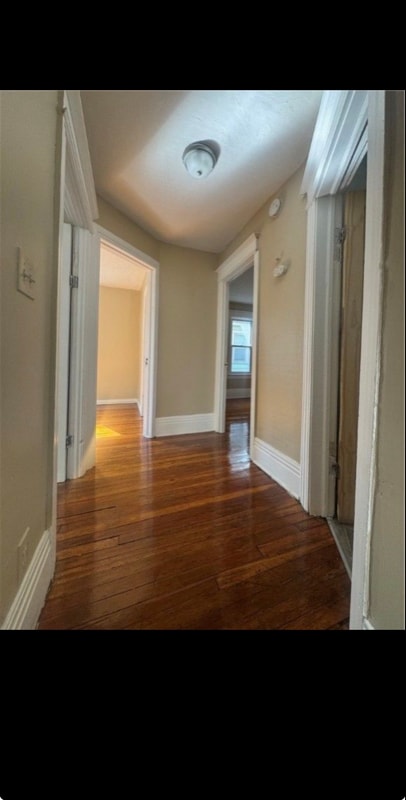 Photo - 42 Curtis St