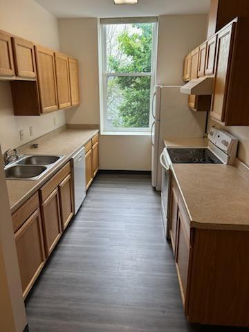 Building Photo - 823 Main Street Unit A/B/C/D C Rental