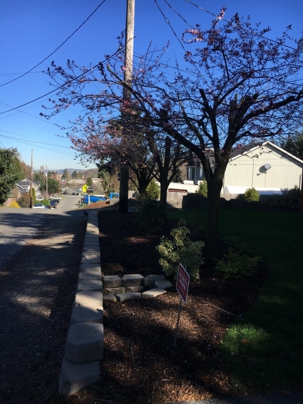 Photo - 6368 23rd Ave SW