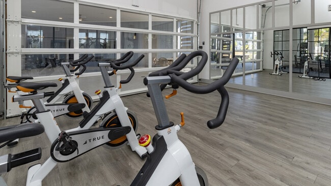 Photo - Tessa Springs